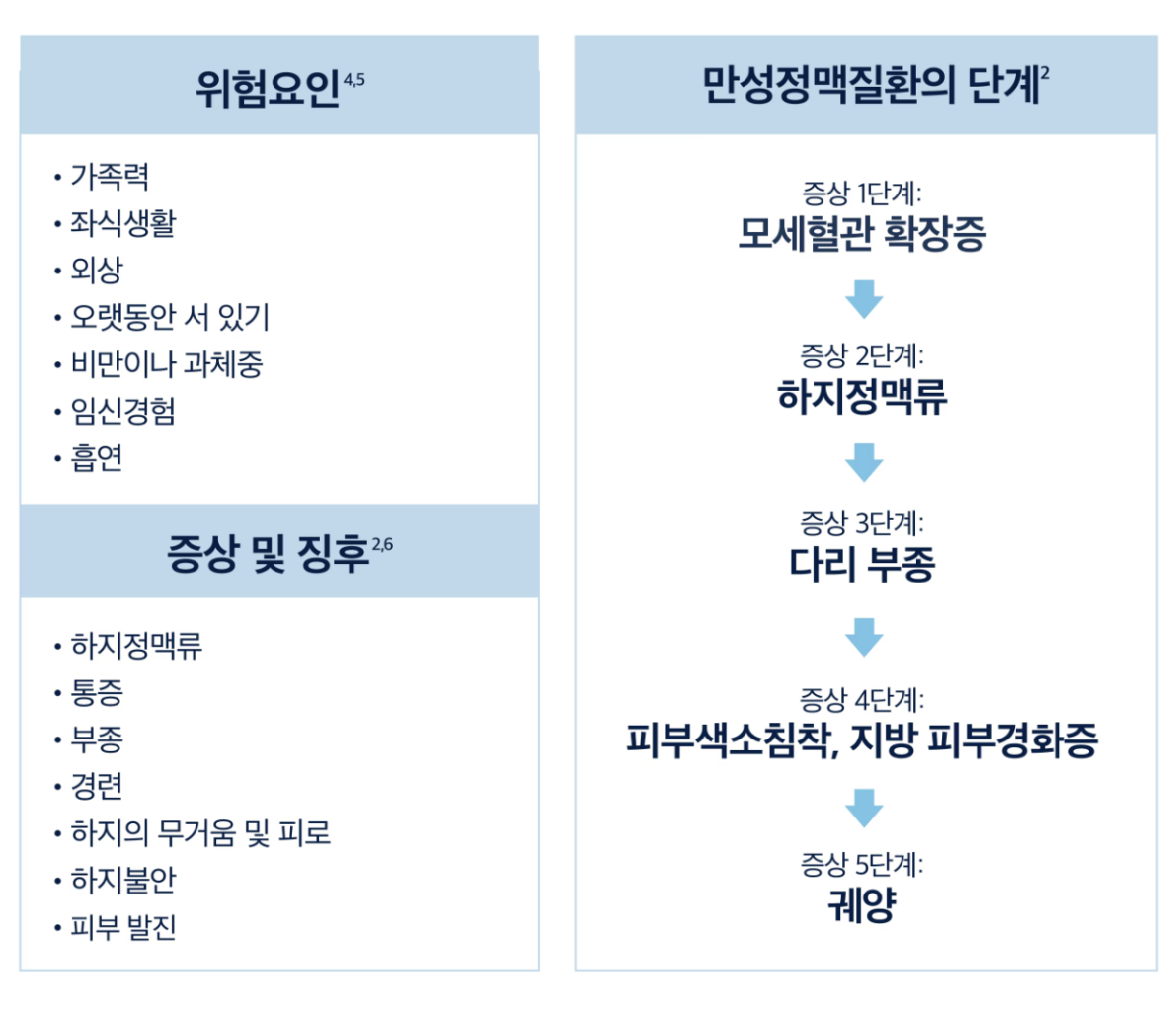 하지 정맥류 위험 요인과 단계