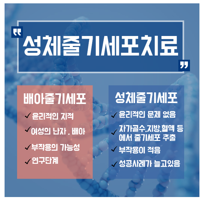 줄기세포 두종류 비교 사진