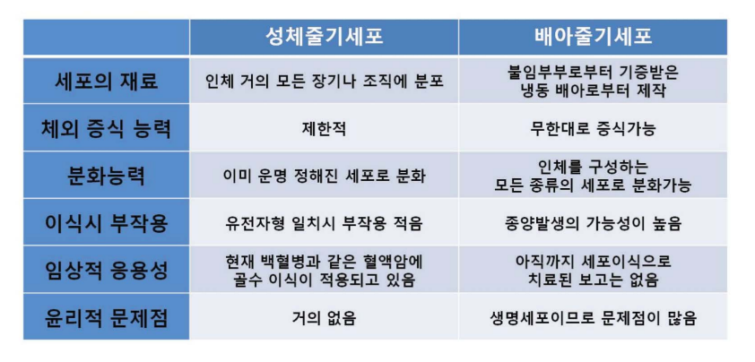 줄기세포 두종류 비교 사진