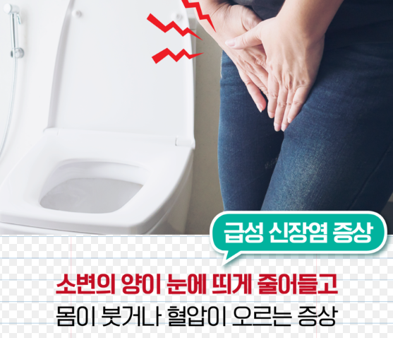 신장염 증상