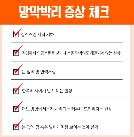 망막박리 자가진단 체크 리스트