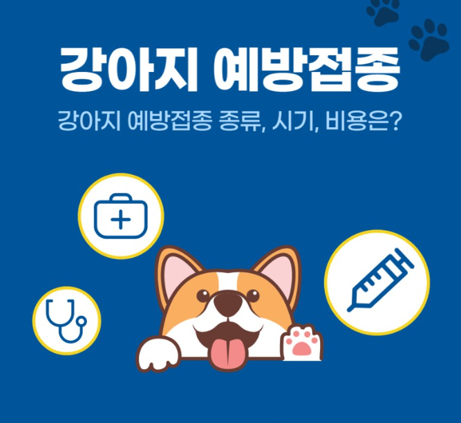 반려견 강아지 예방접종 종류 및 시기, 비용