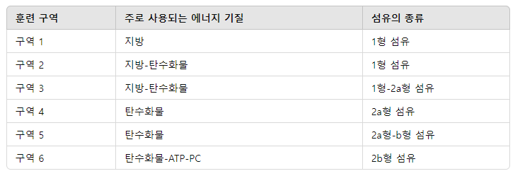 30분 존투운동으로 체지방 태우기: 초보자 가이드