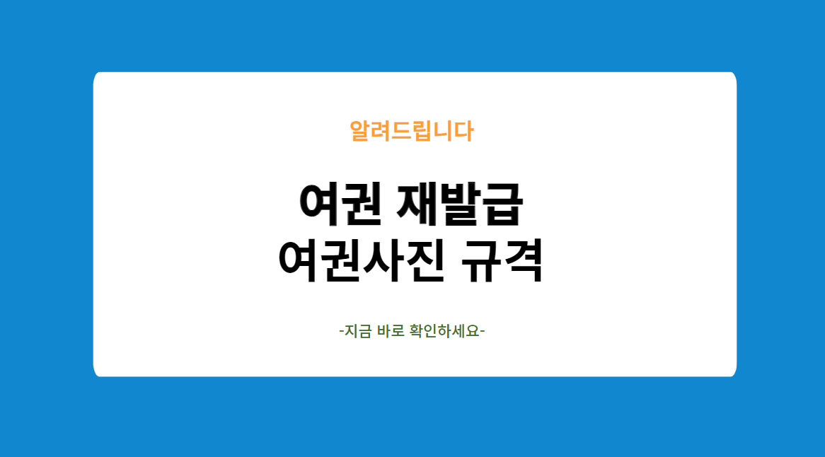 여권사진 규격