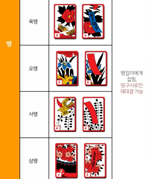 섯다 족보