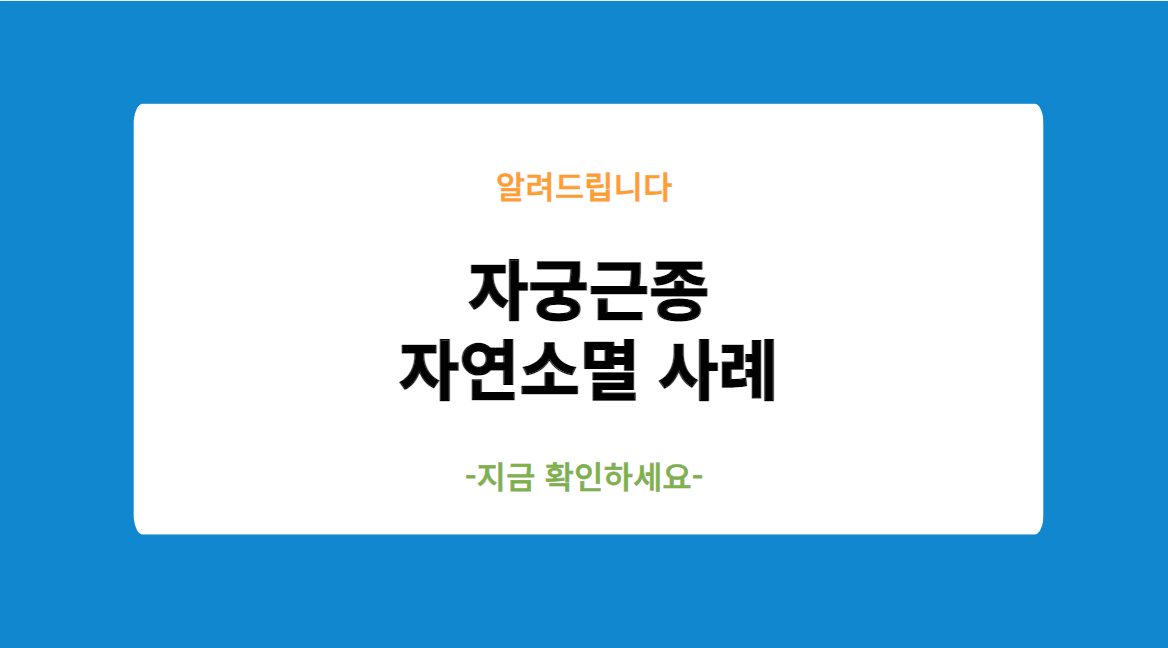 자궁근종 자연소멸 사례