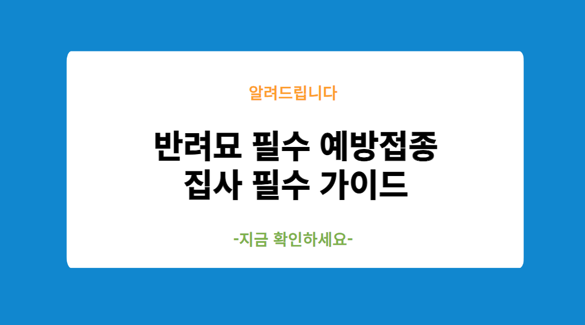 반려묘 필수 예방접종 집사 필수 가이드