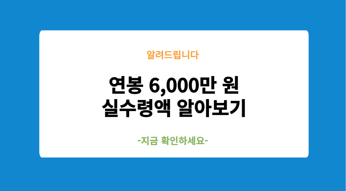 연봉 6000만 원 실수령액