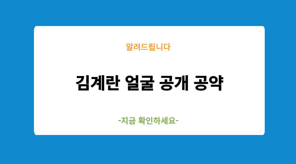 김계란 얼굴 공개 공약